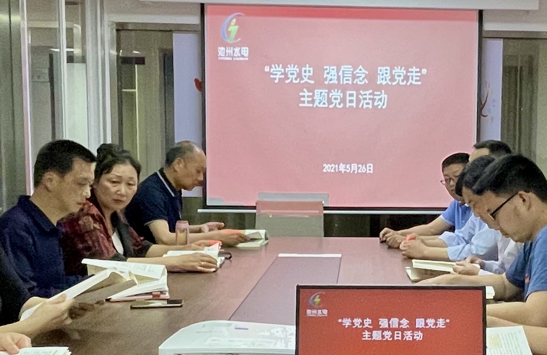 公司組織開展“學(xué)黨史、強(qiáng)信念、跟黨走” 主題黨日活動(dòng)(圖1)
