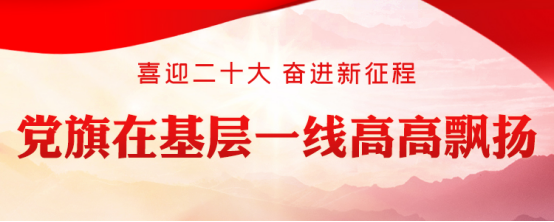 鑄造實現(xiàn)民族復興的先鋒力量——黨的十九大以來黨員教育工作邁出高質量發(fā)展步伐